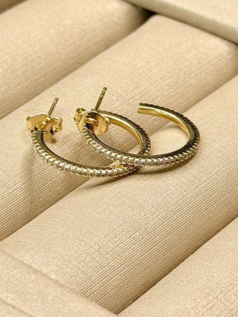 Brinco Folheado Argola Cravejado Dourado